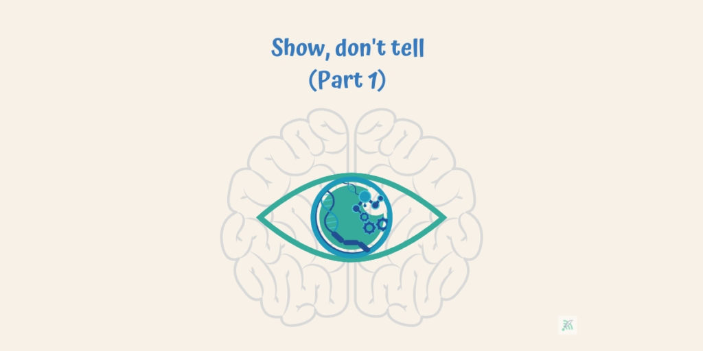 visual transmission of information to brain