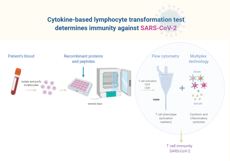 SARS-CoV-2 Cyto LTT | Cytokine Storm in COVID-19 %%sep%% %%sitename%%