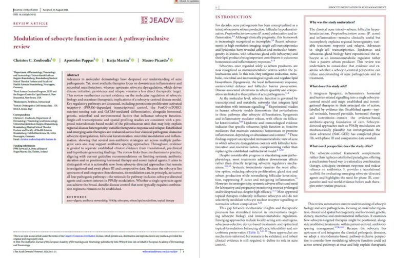 publication acne screenshot first 2 pages