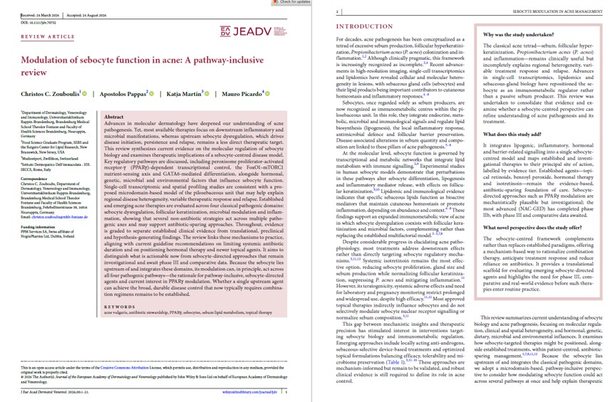 publication acne screenshot first 2 pages